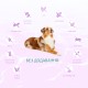 Optimeal Dog Beauty Harmony Mild Calming Effect Сухий корм для дорослих собак із заспокійливим ефектом