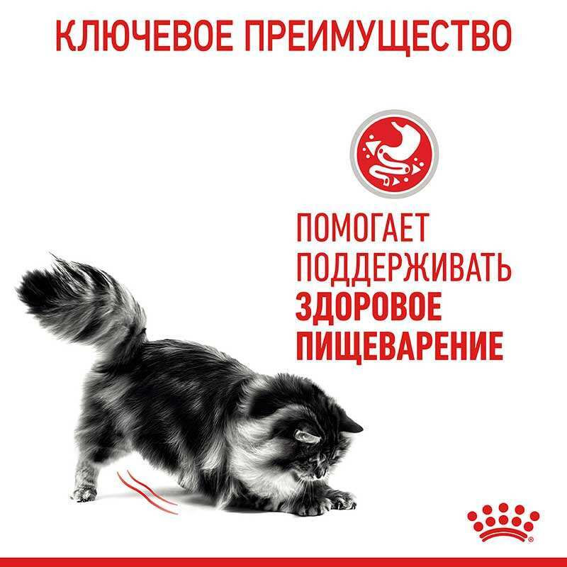 Royal Canin Digest Sensitive Консервы для взрослых кошек