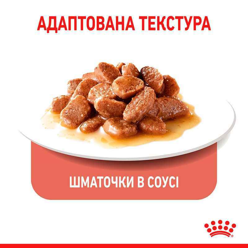 Royal Canin Appetite Control in Gravy Консервы для взрослых кошек