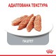 Royal Canin Appetite Control Loaf Консервы для взрослых кошек