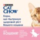 Cat Chow Kitten Консерви для кошенят з ягнятком та цукіні в желе