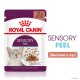 Royal Canin Sensory Feel Gravy Консервы для взрослых кошек
