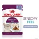 Royal Canin Sensory Feel Jelly Консервы для взрослых кошек