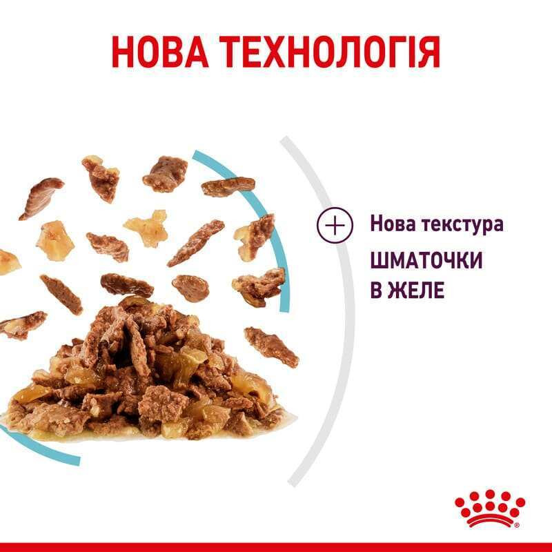 Royal Canin Sensory Feel Jelly Консервы для взрослых кошек