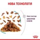 Royal Canin Sensory Feel Jelly Консервы для взрослых кошек