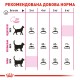 Royal Canin Exigent Protein Сухой корм для взрослых кошек