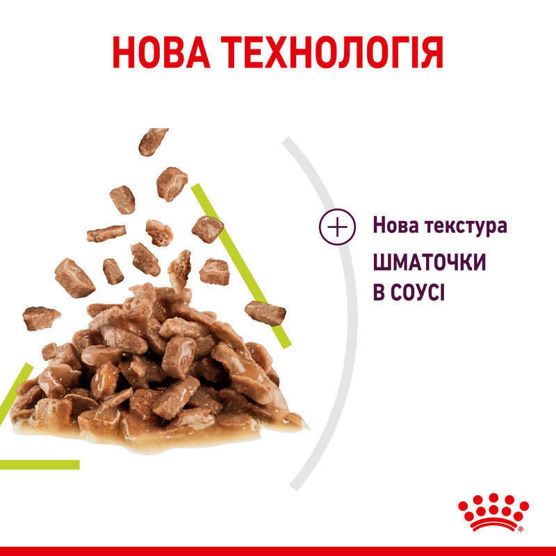 Royal Canin Sensory Smell Gravy Консерви для дорослих кішок