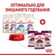 Royal Canin Sensory Smell Gravy Консерви для дорослих кішок