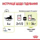 Royal Canin Sensory Smell Jelly Консервы для взрослых кошек