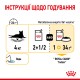 Royal Canin Sensory Taste Gravy Консерви для дорослих кішок