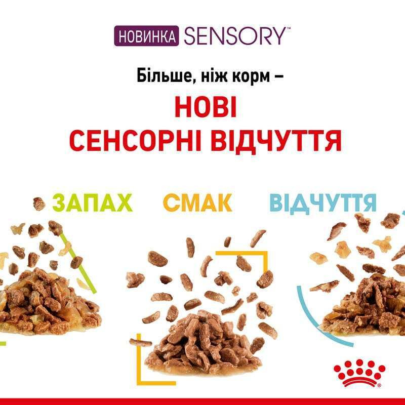 Royal Canin Sensory Taste Jelly Консерви для дорослих кішок