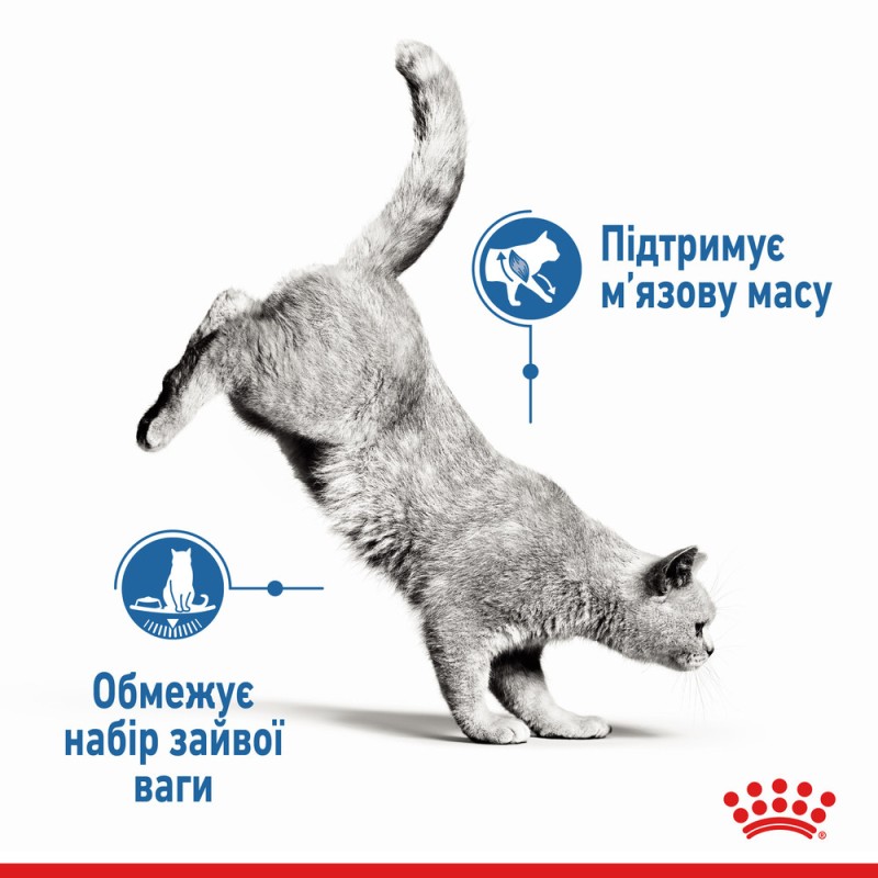 Royal Canin Light Weight Care Loaf Консервы для взрослых кошек