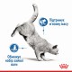 Royal Canin Light Weight Care Loaf Консервы для взрослых кошек