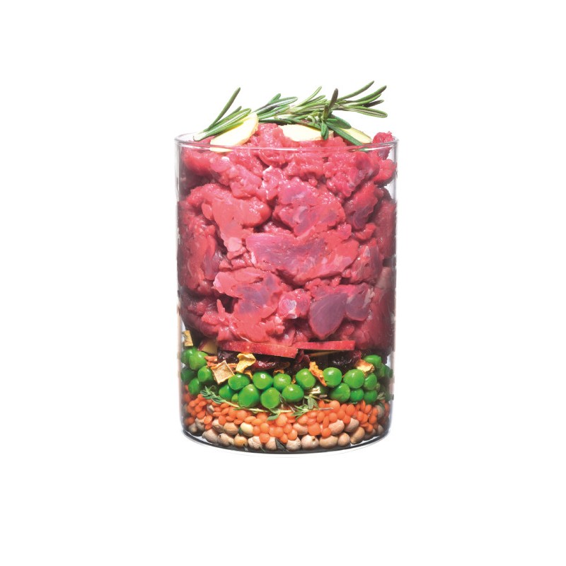 Carnilove True Fresh Beef for Adult Dogs Беззерновой сухой корм для взрослых собак с говядиной