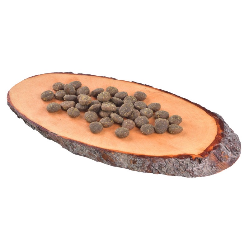Carnilove True Fresh Fish for Adult Dogs Беззерновой сухой корм для взрослых собак с рыбой