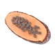 Carnilove True Fresh Turkey for Adult Dogs Беззерновой сухой корм для взрослых собак с индейкой