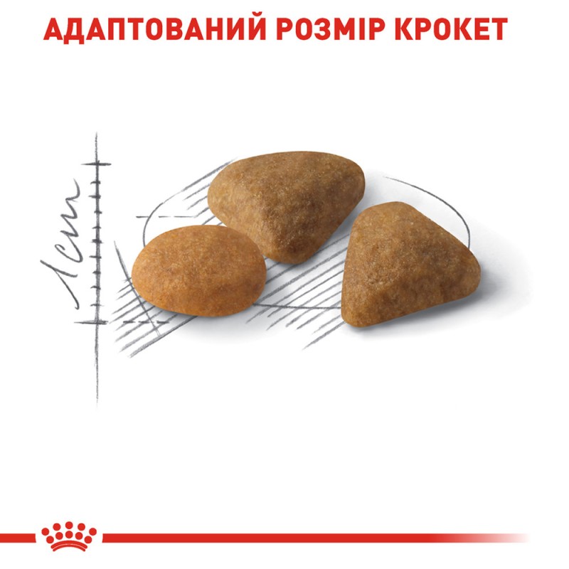 Royal Canin Exigent Savour Сухой корм для взрослых кошек
