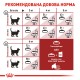 Royal Canin Fit Сухий корм для дорослих кішок