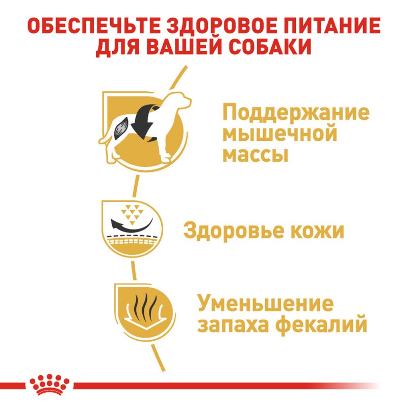 Royal Canin French Bulldog Adult Сухой корм для собак