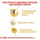 Royal Canin French Bulldog Adult Сухой корм для собак