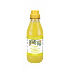 Iv San Bernard Ginger и Elderberry Шампунь дезинфицирующая, с бузиной и имбирем