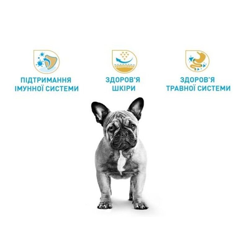 Royal Canin French Bulldog Puppy Сухой корм для щенков