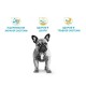 Royal Canin French Bulldog Puppy Сухой корм для щенков