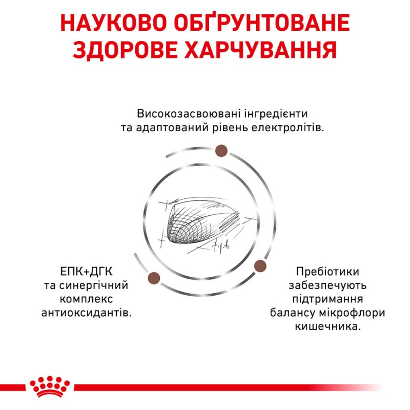 Royal Canin Gastro Intestinal Feline Лечебный корм для взрослых кошек