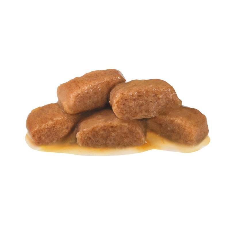 Royal Canin Gastro Intestinal Feline Лікувальні консерви для дорослих кішок