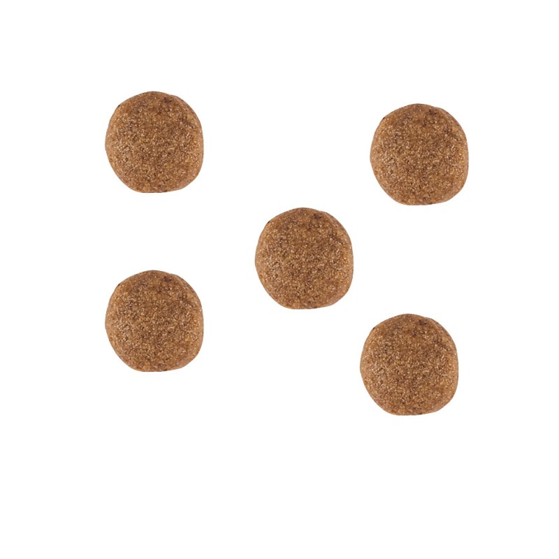 Royal Canin Gastro Intestinal Dog Canine Лечебный корм для собак