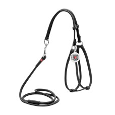 Collar Waudog Glamour Шлея с поводком для кошек и собак кожаная круглая черная