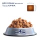 Club 4 Paws Adult Large Breeds Duck Сухий корм для дорослих собак великих порід з качкою