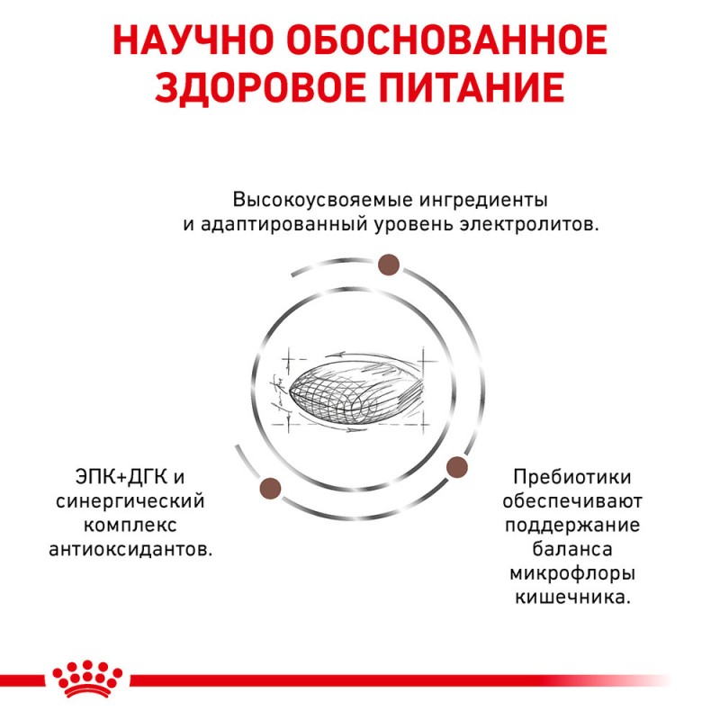 Royal Canin Gastro Intestinal Low Fat Dog Canine Лечебный корм для собак