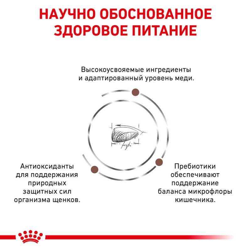 Royal Canin Gastro Intestinal Puppy Canine Лечебный корм для щенков