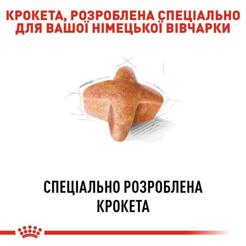 Royal Canin German Shepherd Adult Сухой корм для собак