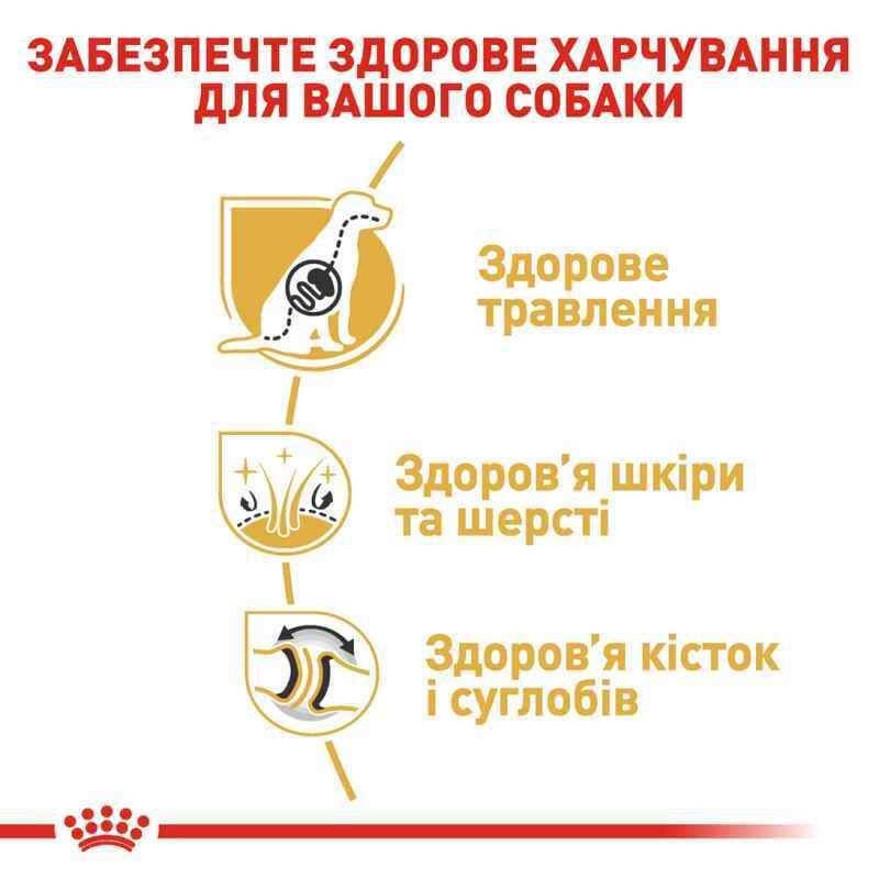 Royal Canin German Shepherd Adult Сухой корм для собак