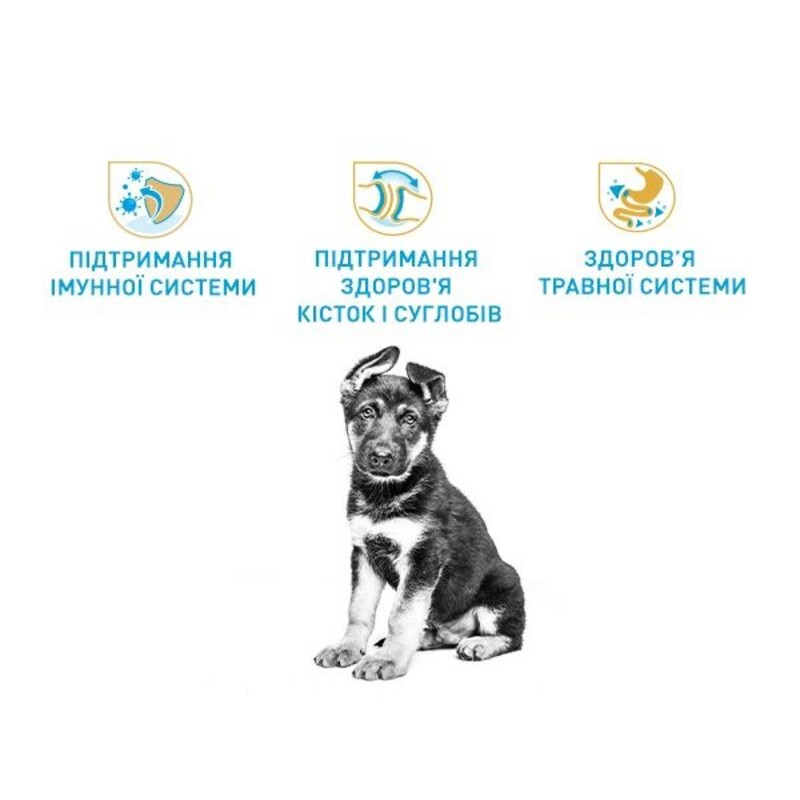 Royal Canin German Shepherd Puppy Сухой корм для щенков