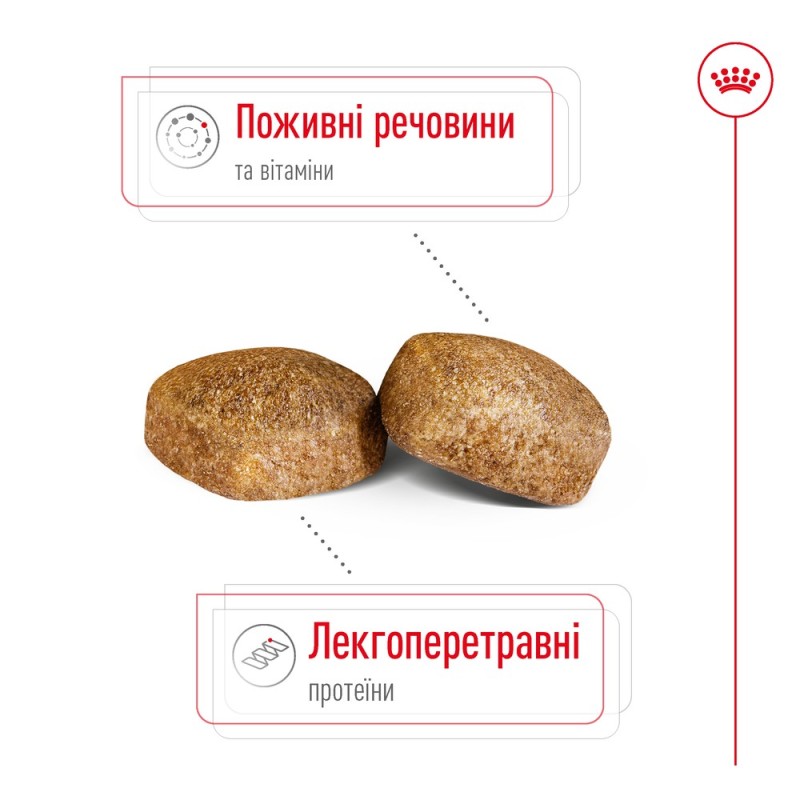 Royal Canin Giant Adult Сухой корм для собак