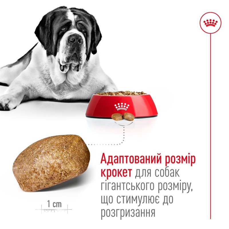 Royal Canin Giant Adult Сухой корм для собак