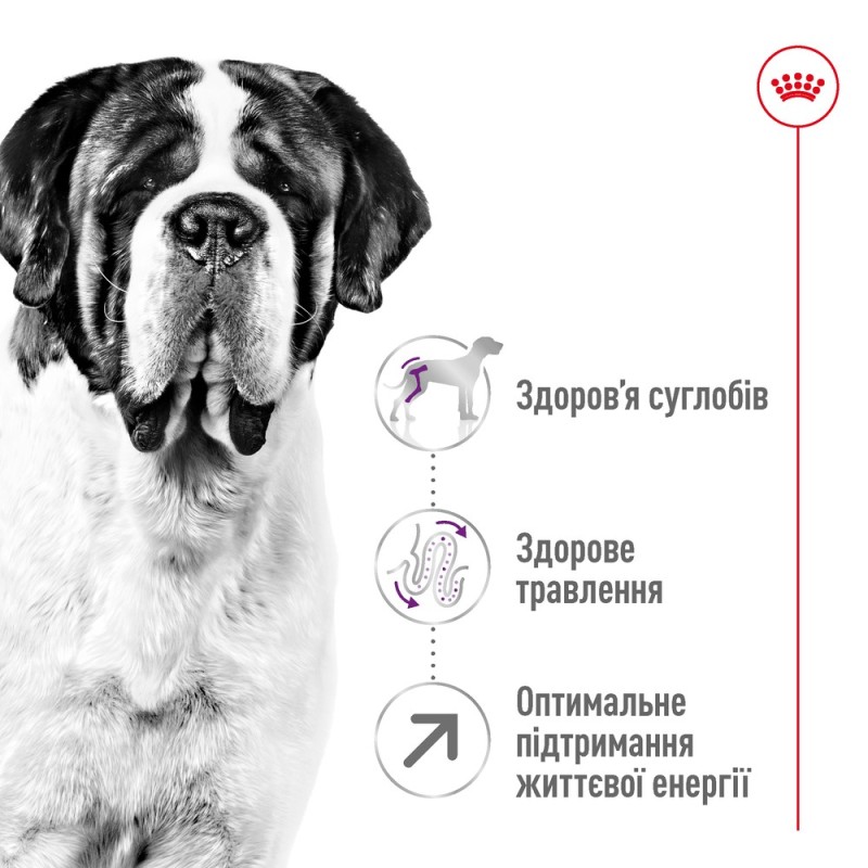 Royal Canin Giant Adult Сухой корм для собак