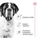 Royal Canin Giant Adult Сухой корм для собак