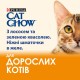 Cat Chow Adult Консерви для дорослих кішок з лососем та зеленою квасолею в желе