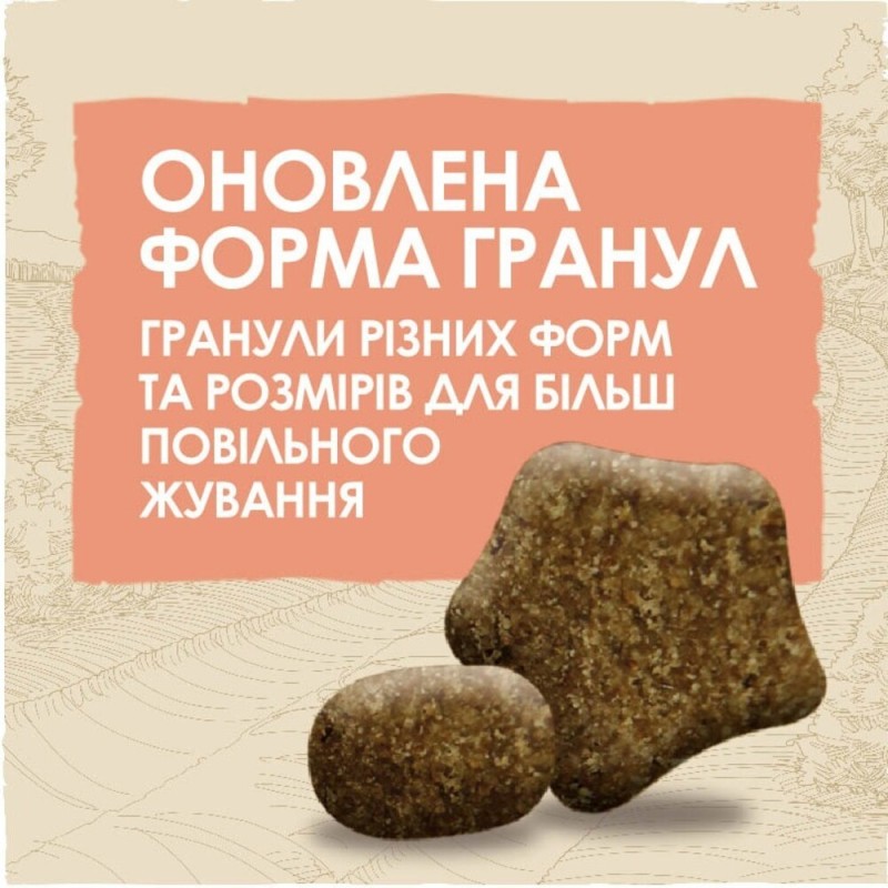 Dog Chow Active Сухий корм для активних собак з куркою