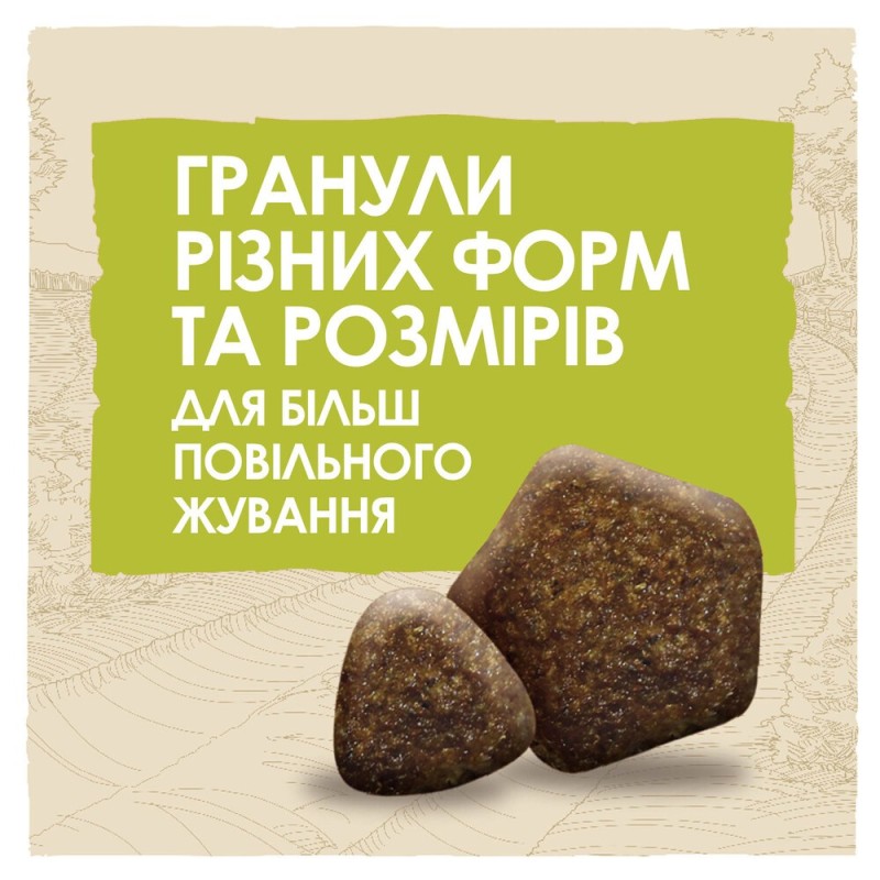 Dog Chow Adult Large Breed Сухий корм для собак великих порід з індичкою