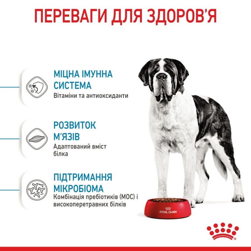 Royal Canin Giant Junior Сухой корм для щенков