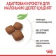 Royal Canin Giant Junior Сухой корм для щенков