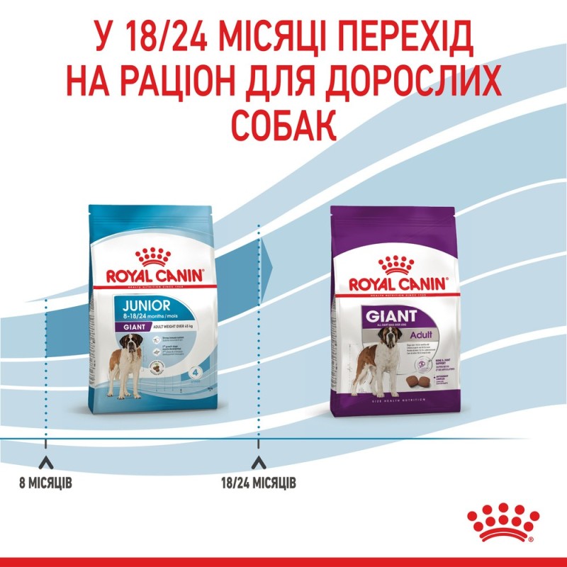 Royal Canin Giant Junior Сухой корм для щенков