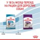 Royal Canin Giant Junior Сухой корм для щенков