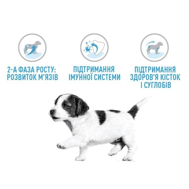 Royal Canin Giant Junior Сухой корм для щенков
