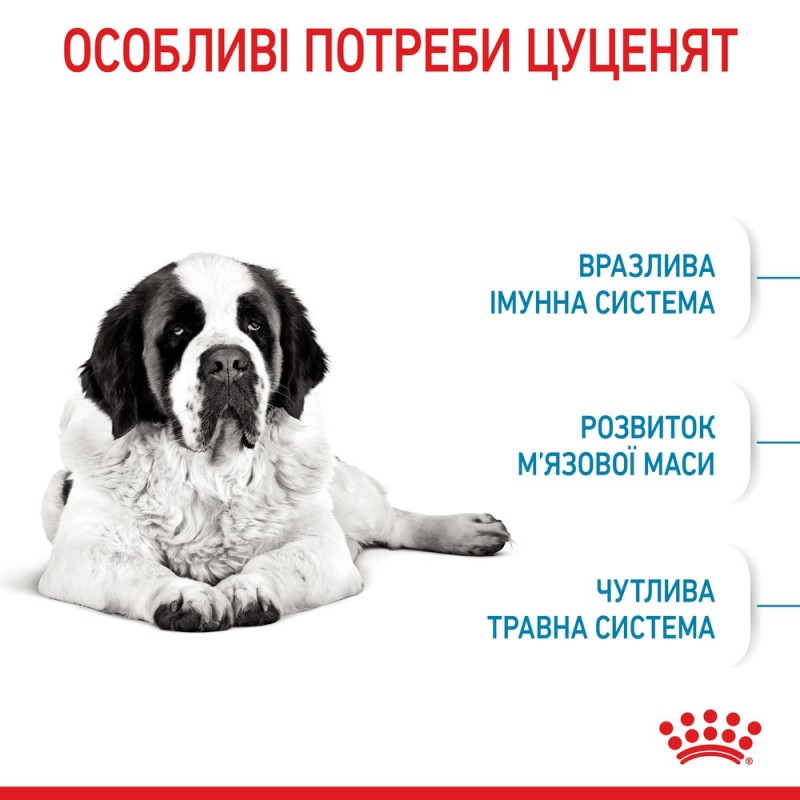 Royal Canin Giant Junior Сухой корм для щенков